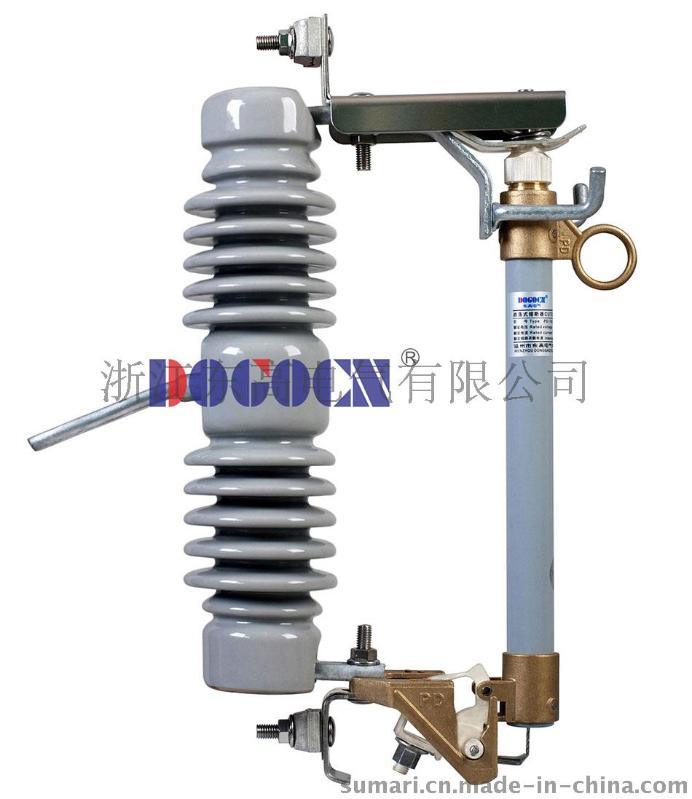 跌落式熔断器RW12-12/100A